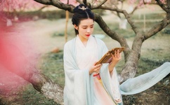 欧美日本一道本免费bvb